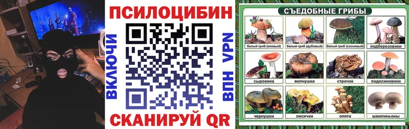 Купить закладки  Сосновый Бор  Галлюциногенные грибы ЛСД 
