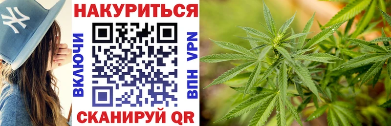 Купить где  Сосновый Бор  Каннабис SATIVA & INDICA 